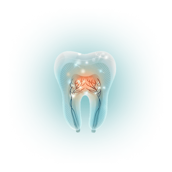 Tooth anatomy illustration - Group_1000006093