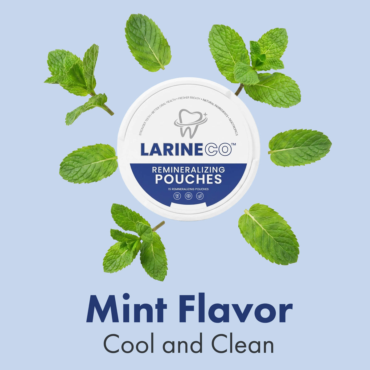 Remineralizing Pouches
