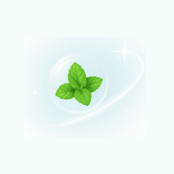 Fresh mint leaves in a clear bowl, freshness concept.
