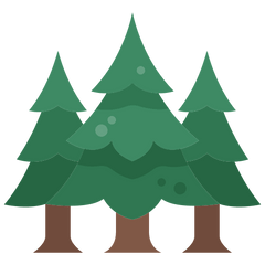 Tree Planted
